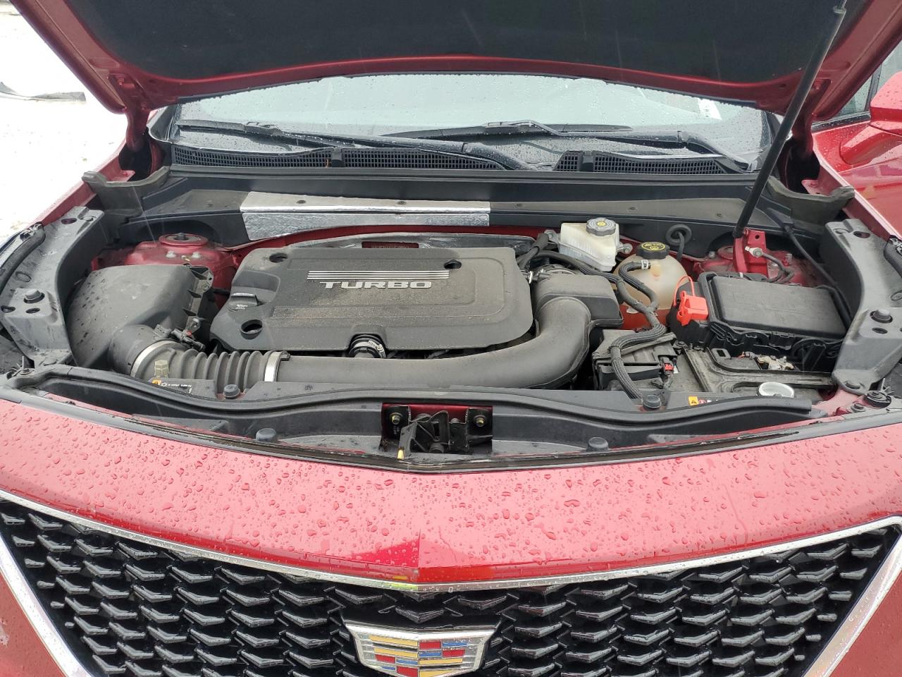 2019 CADILLAC XT4
