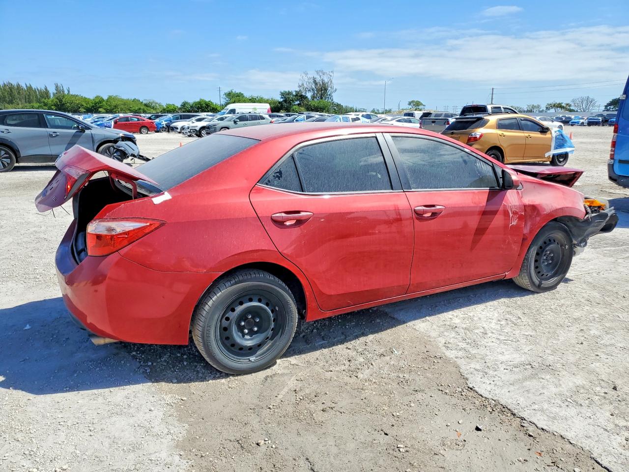 2025 TOYOTA COROLLA