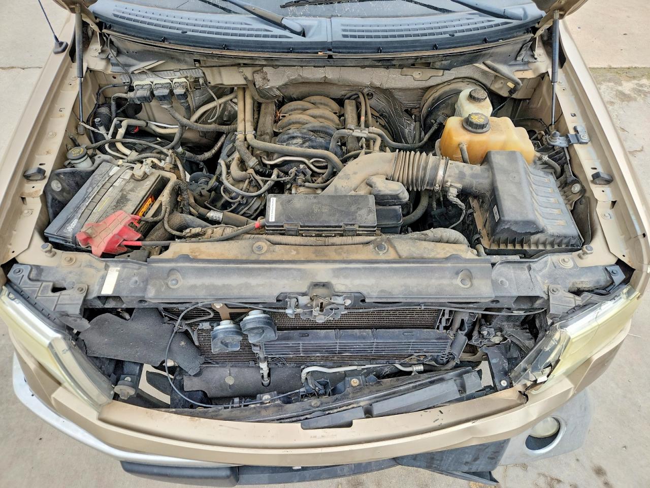 2013 FORD All Models