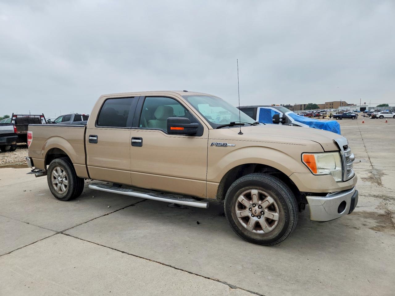 2013 FORD All Models
