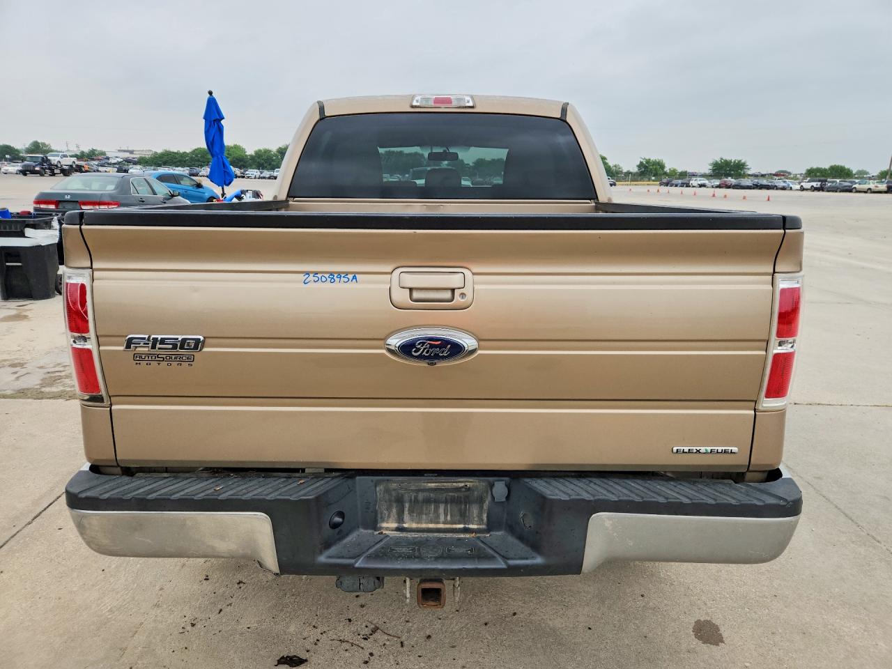 2013 FORD All Models