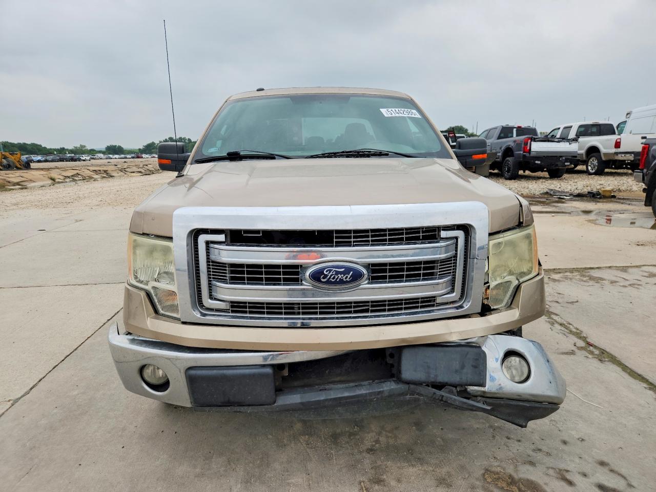 2013 FORD All Models