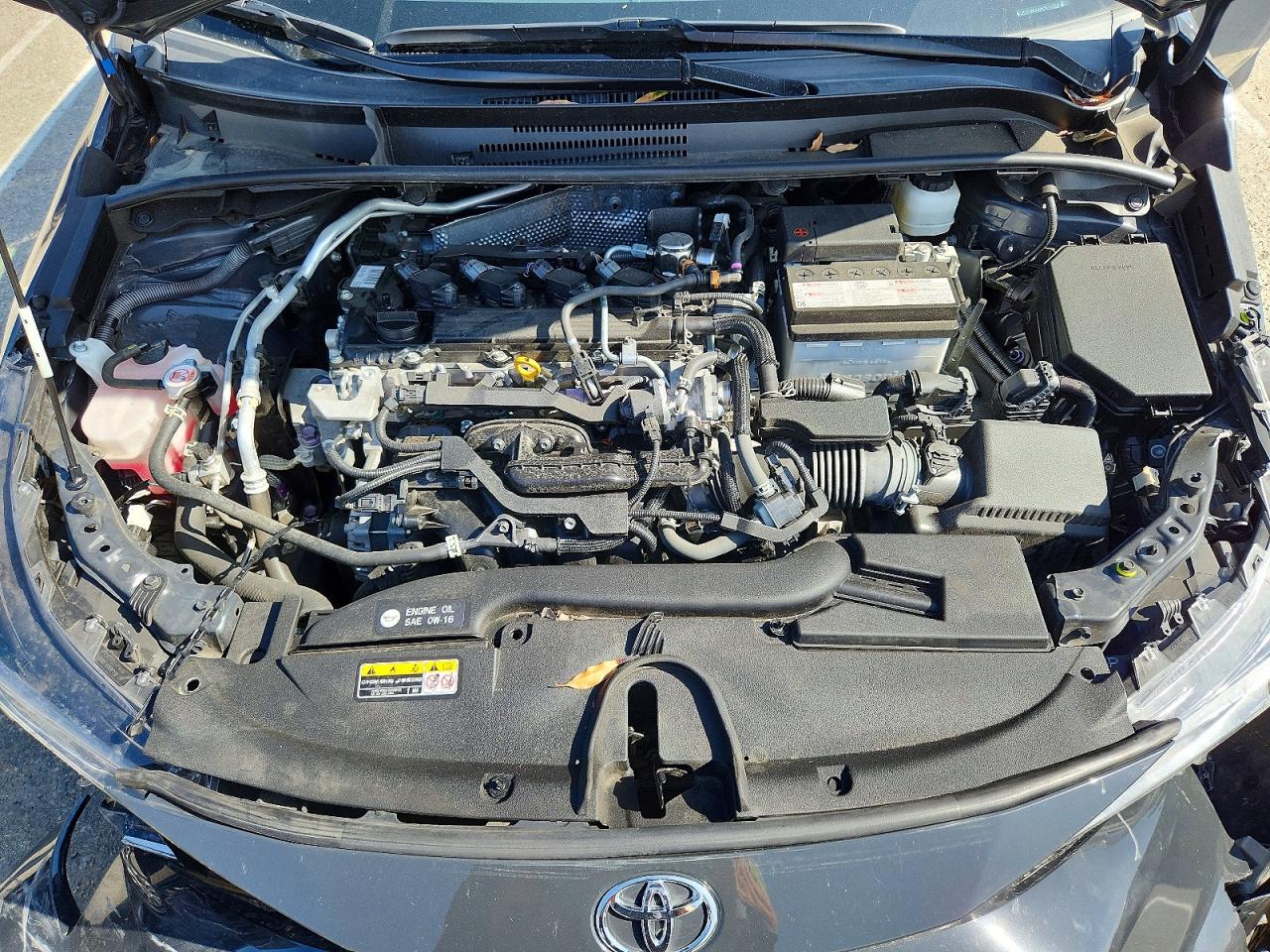 2023 TOYOTA COROLLA