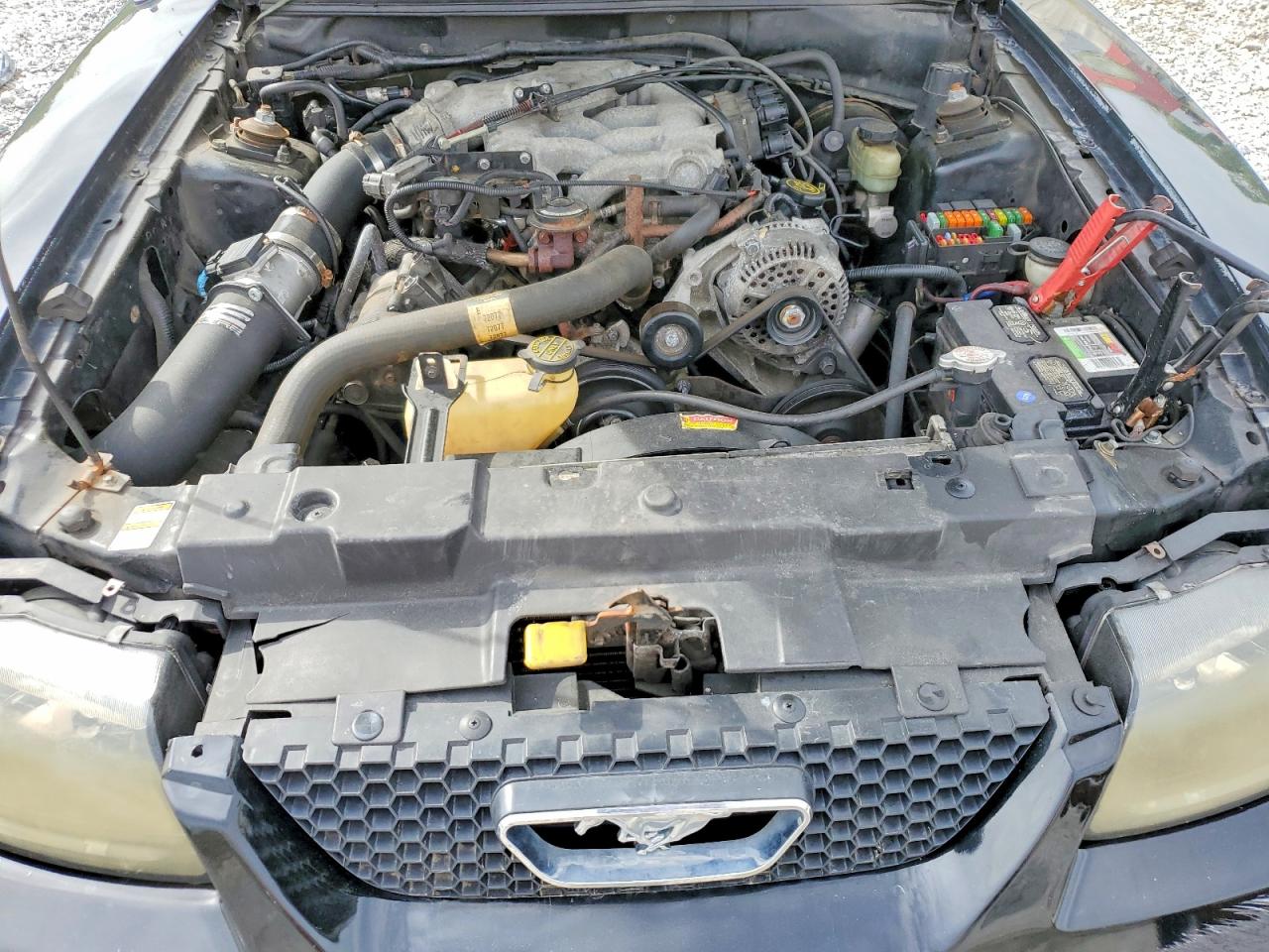 2000 FORD ALL Models