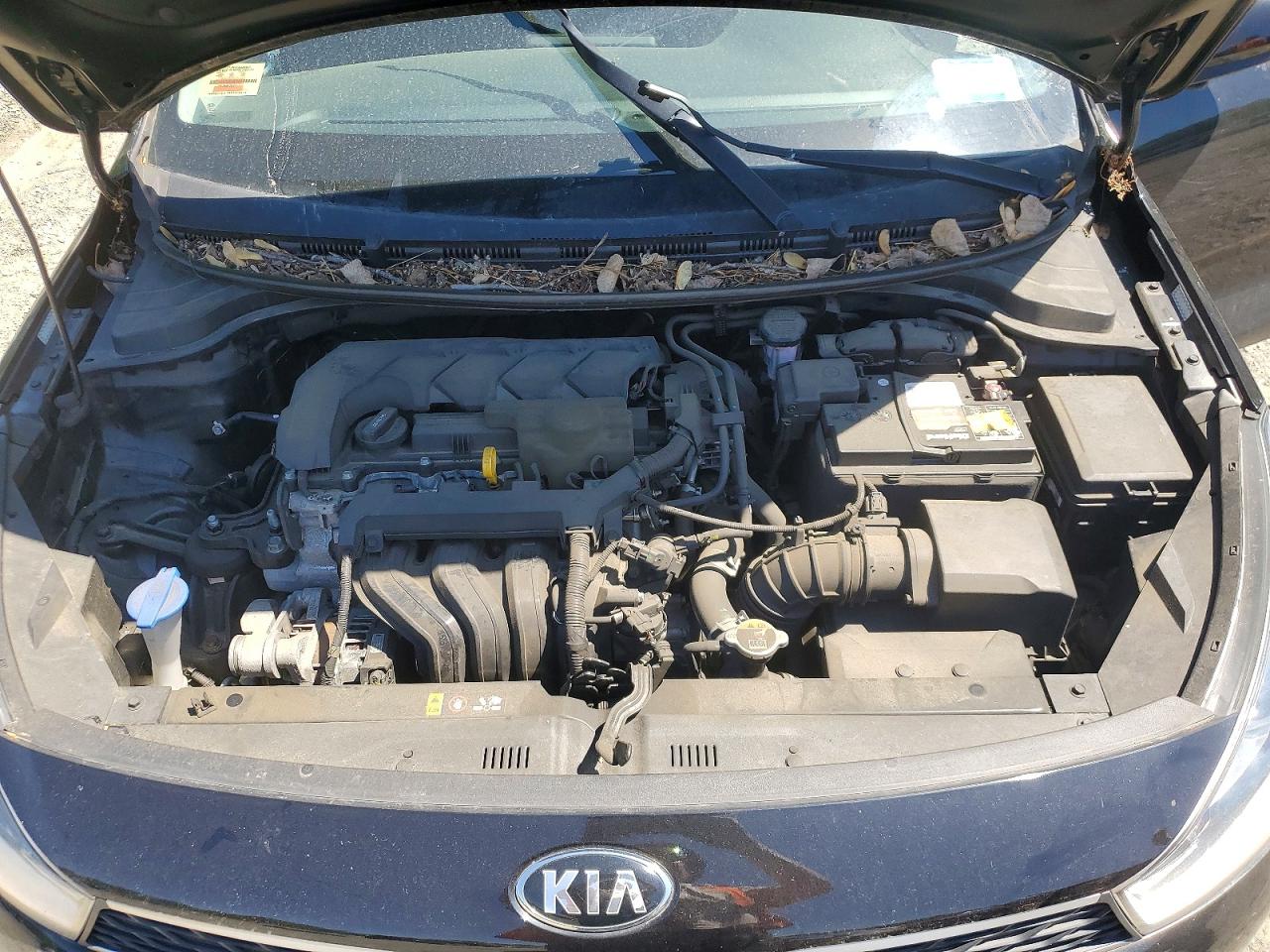 2020 KIA RIO
