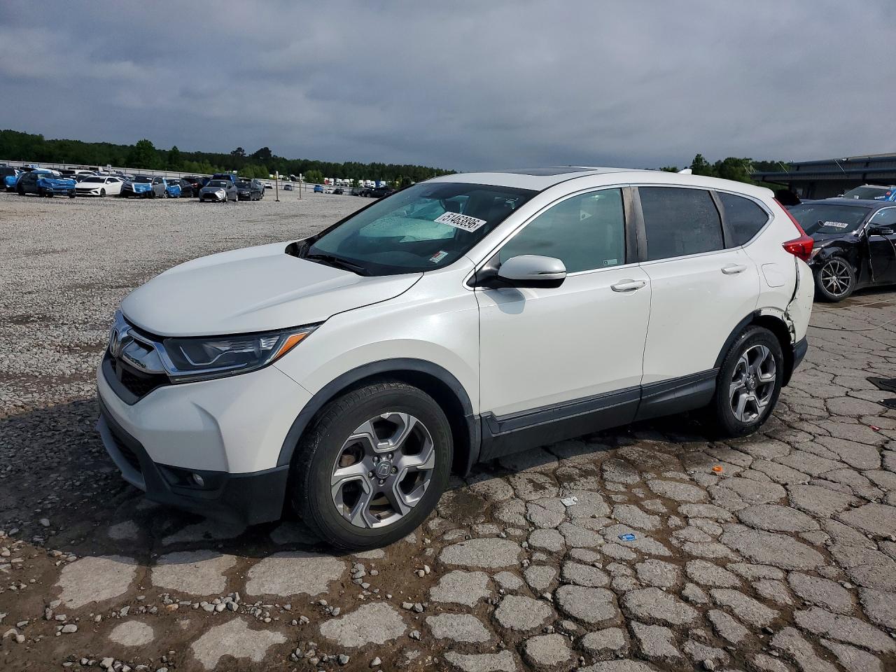 2019 HONDA CRV