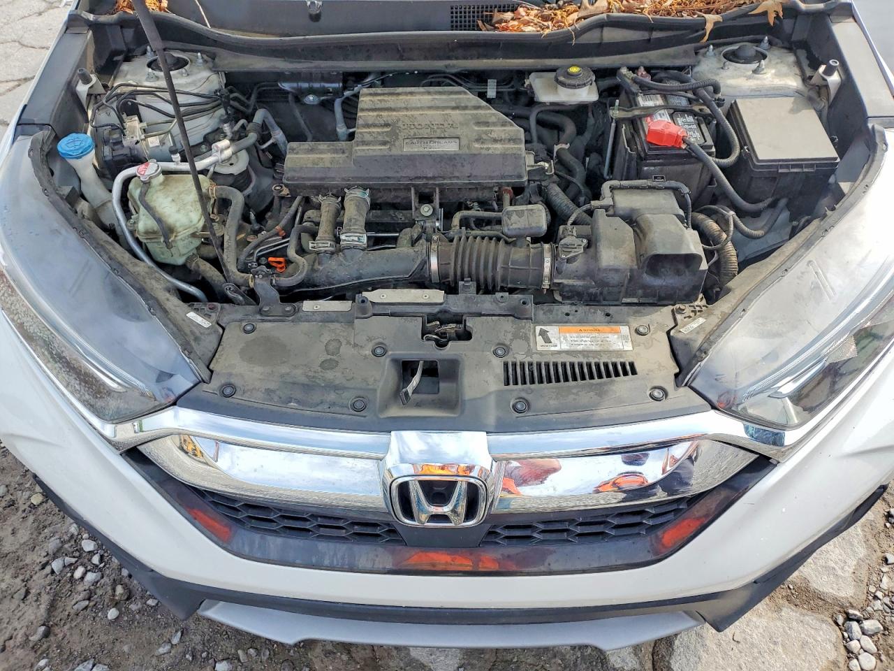 2019 HONDA CRV