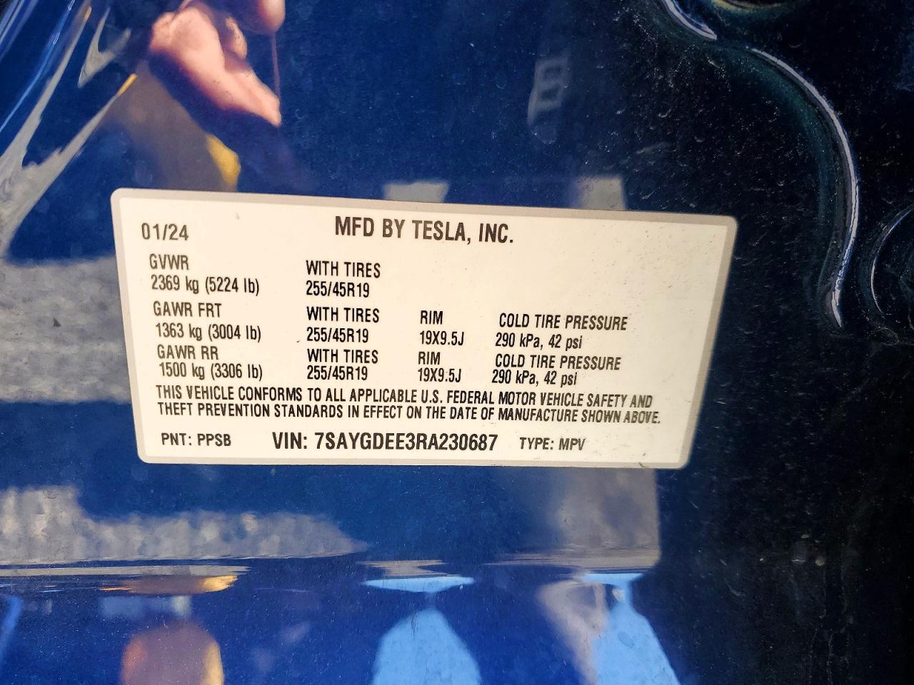 2024 TESLA MODEL Y
