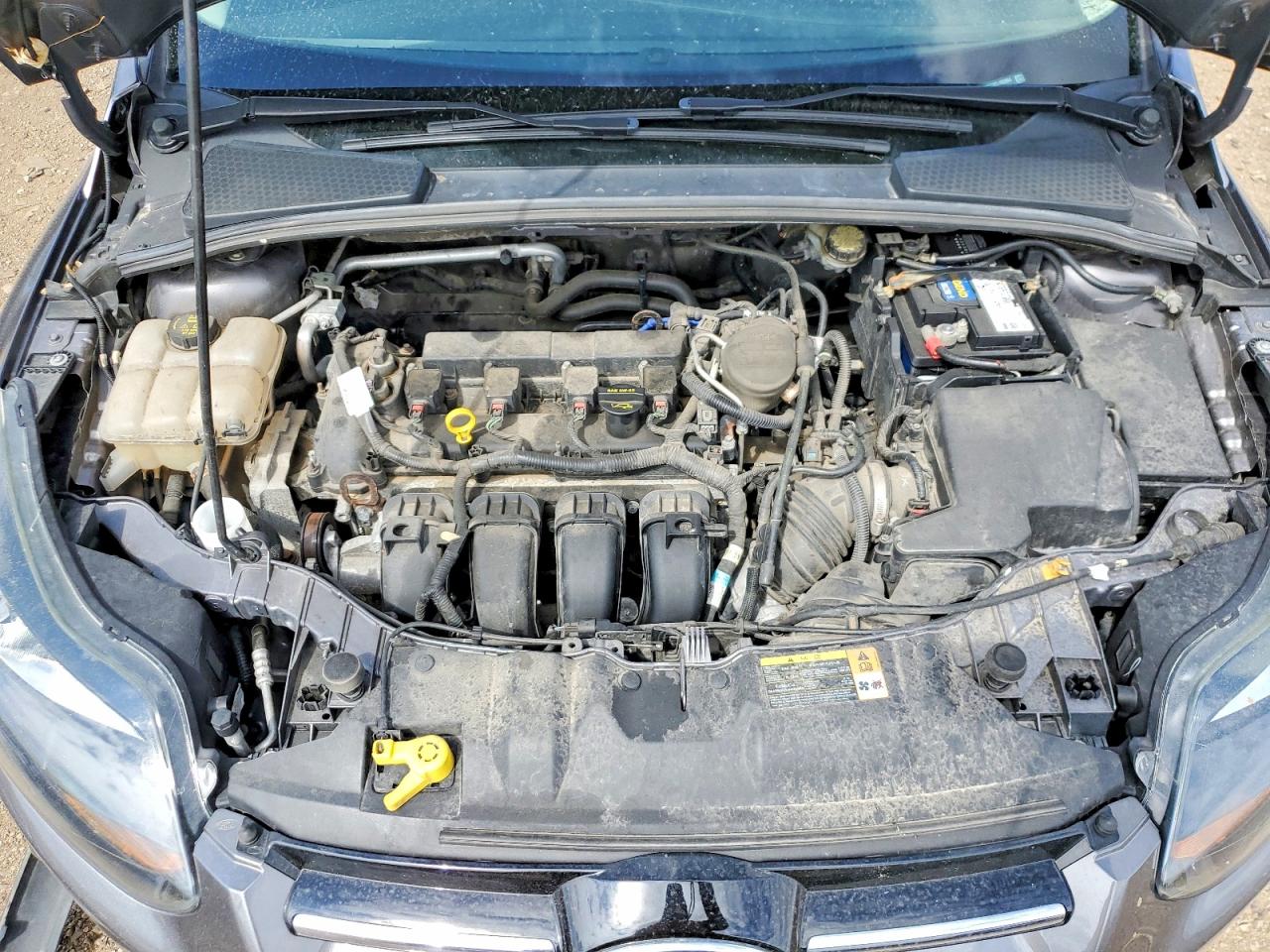 2014 FORD FOCUS