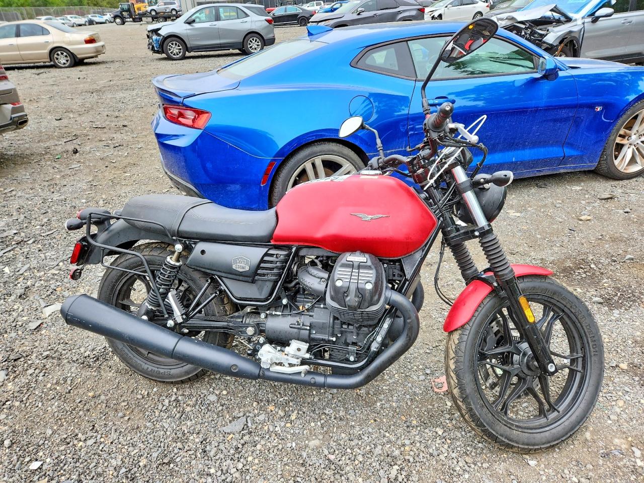 2019 MOTO GUZZI V7 III STN