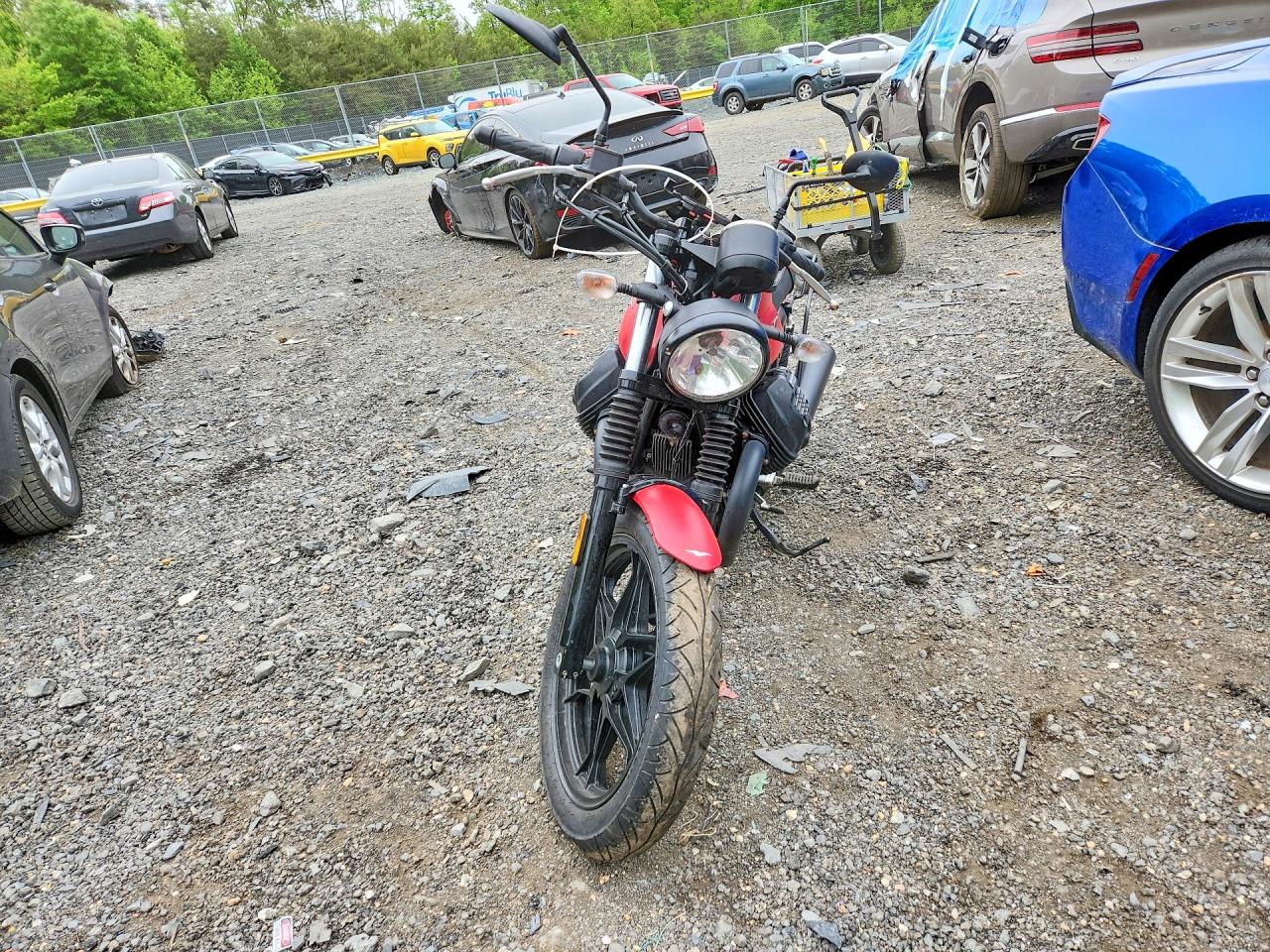 2019 MOTO GUZZI V7 III STN