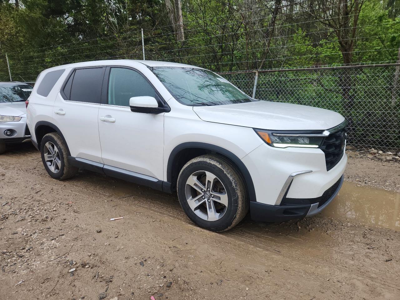 2024 HONDA PILOT