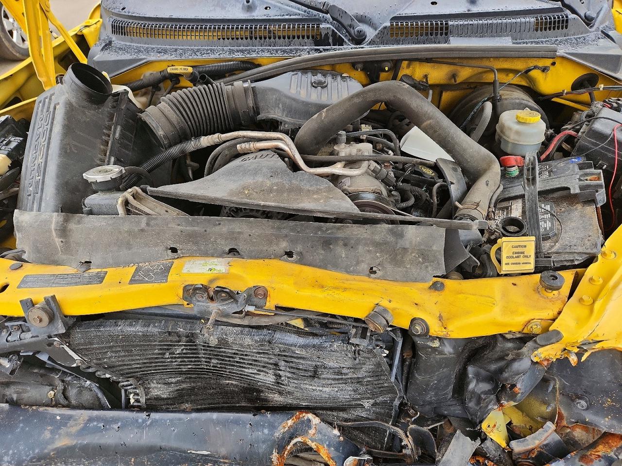 1999 DODGE DAKOTA