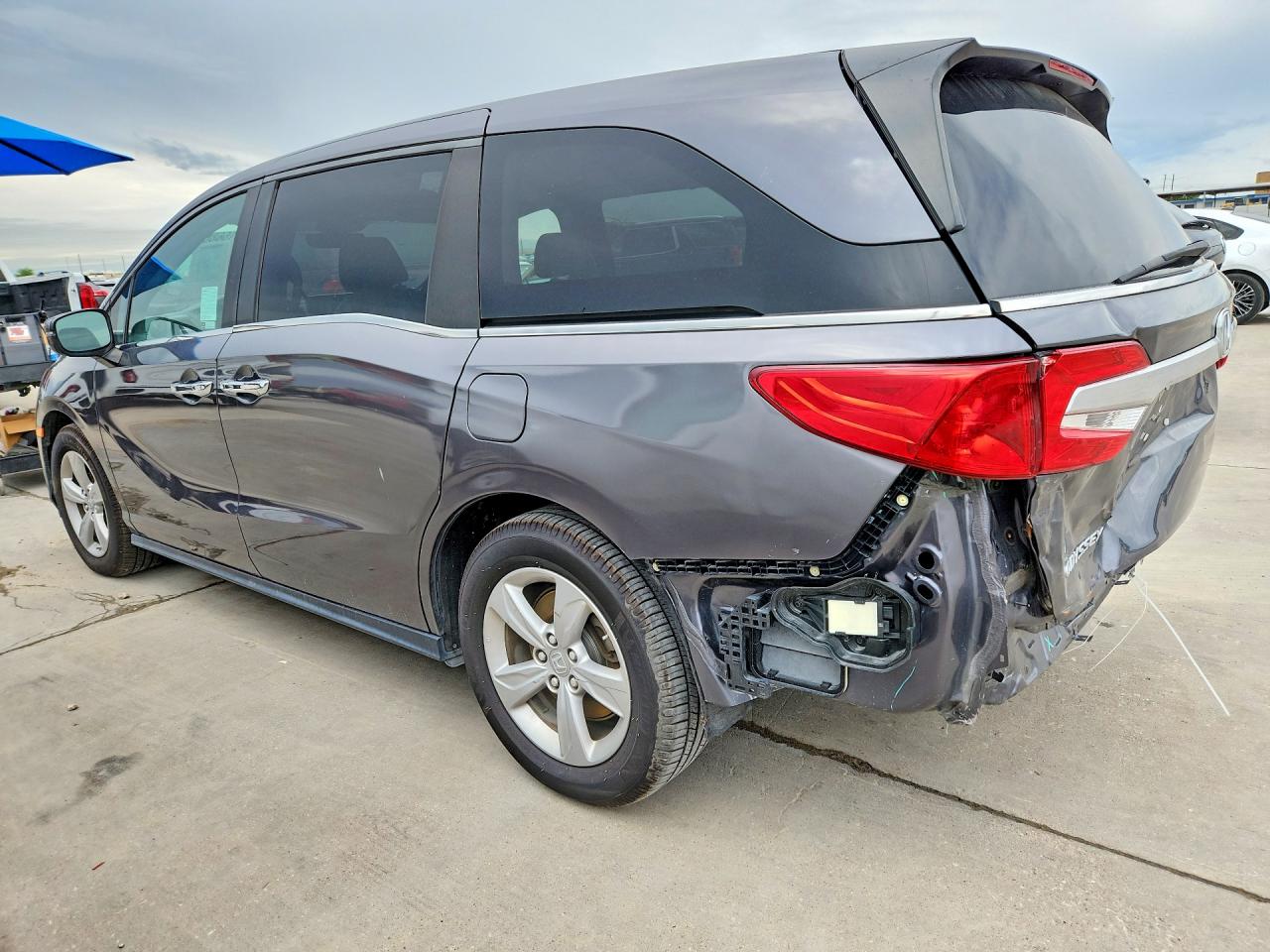 2019 HONDA All Models