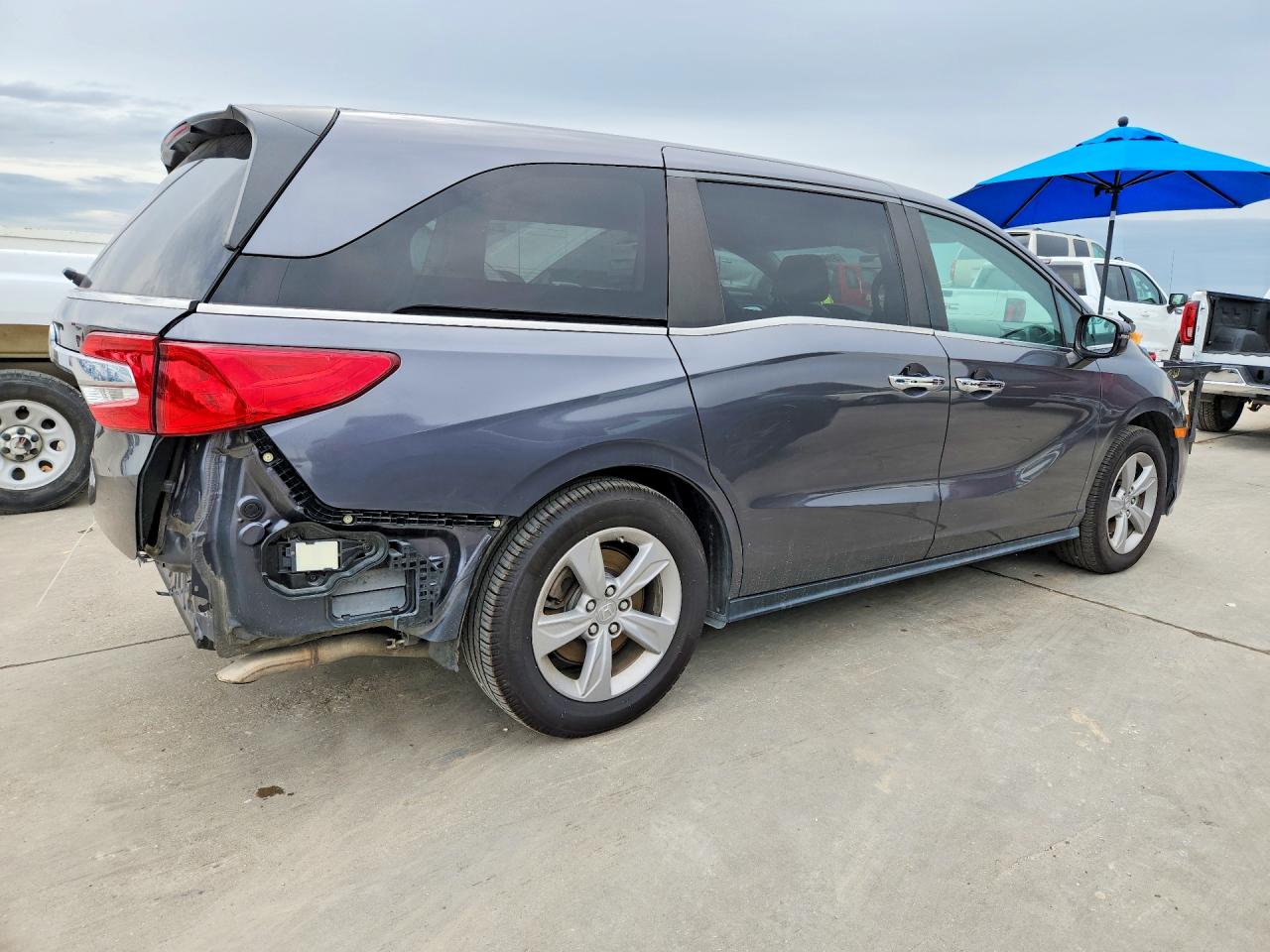2019 HONDA All Models