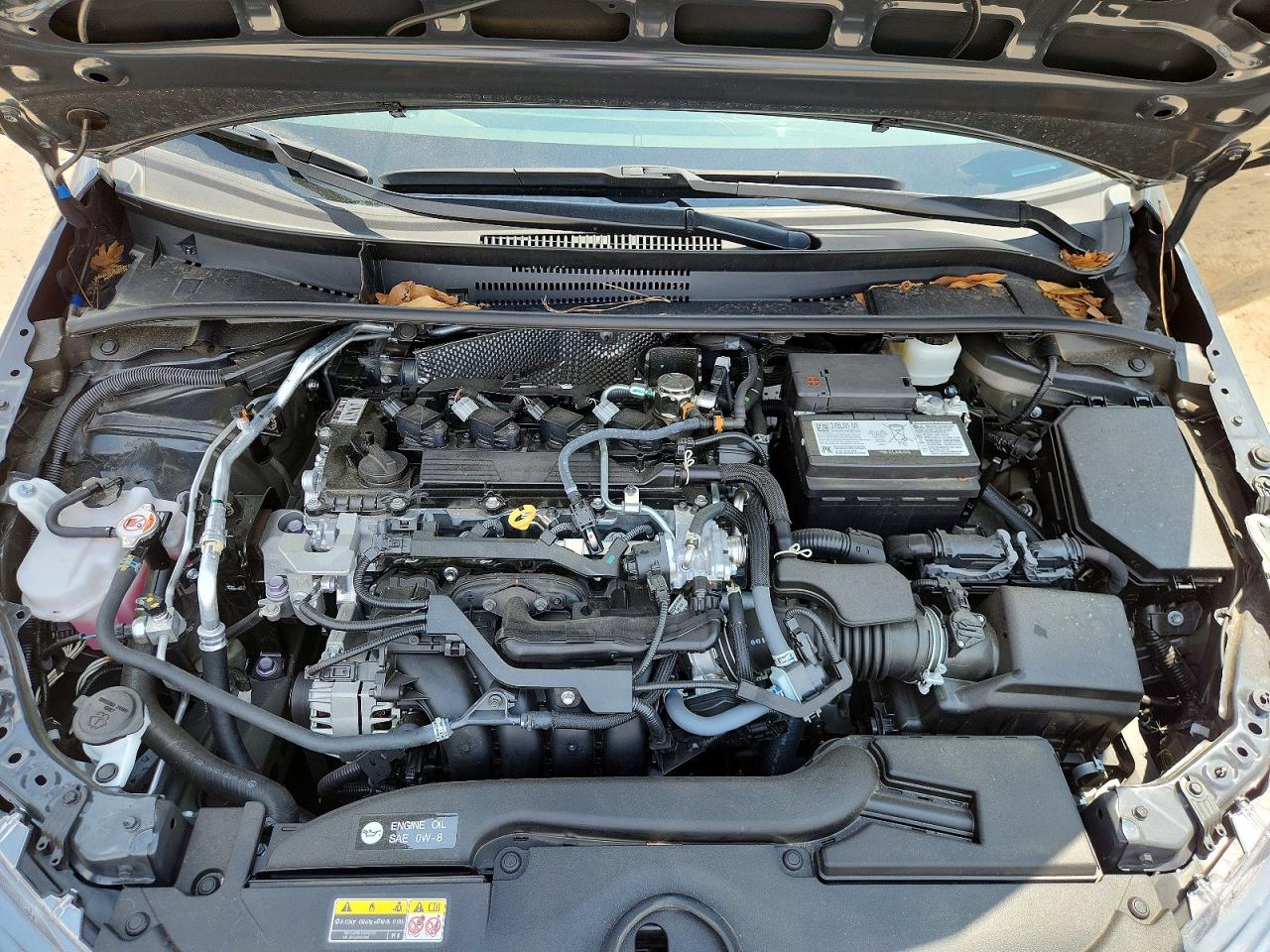 2025 TOYOTA COROLLA