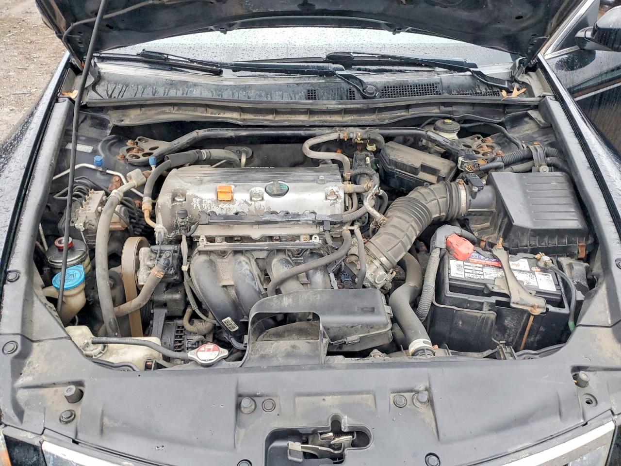 2010 HONDA ACCORD