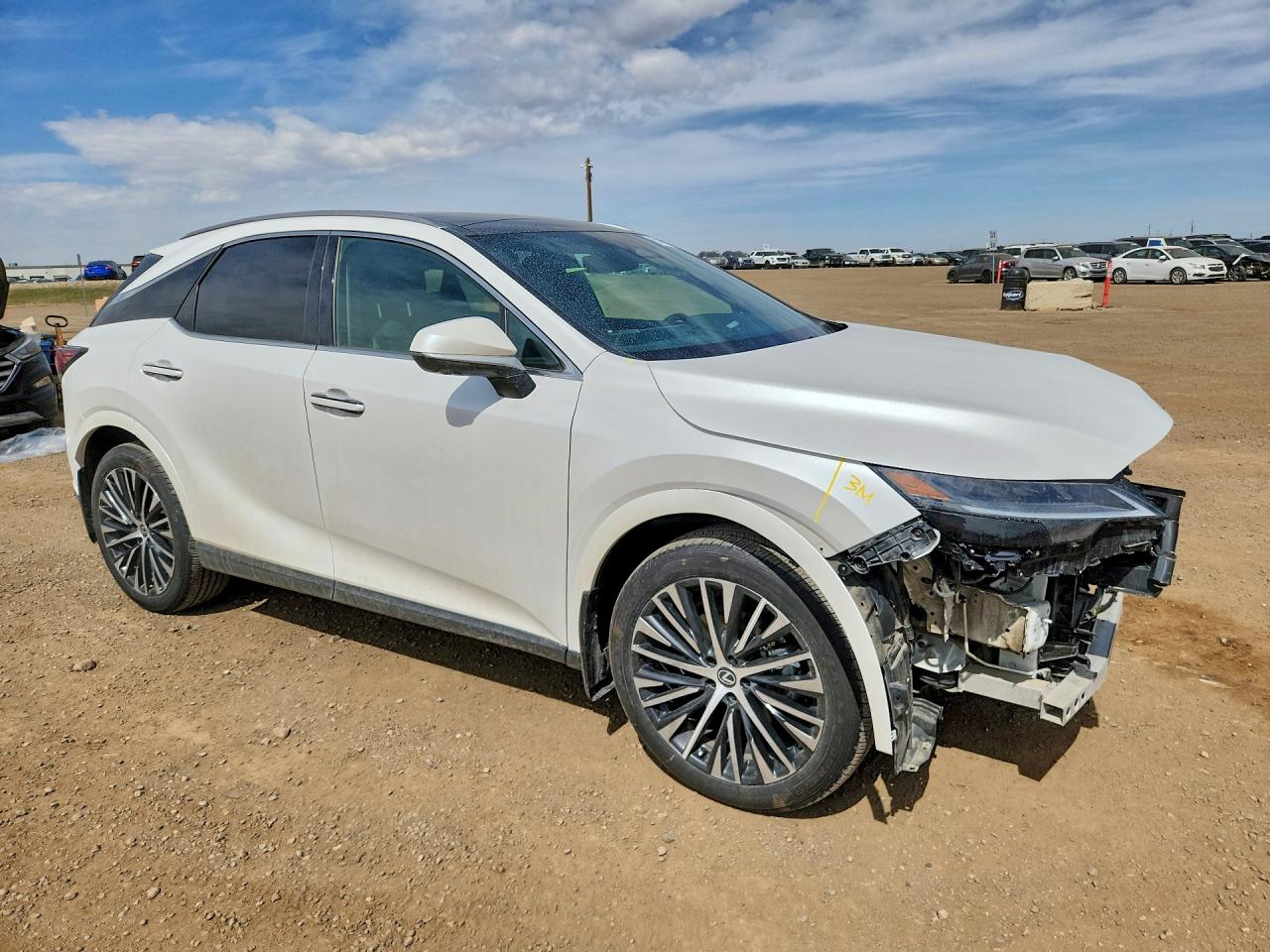 2024 LEXUS RX300