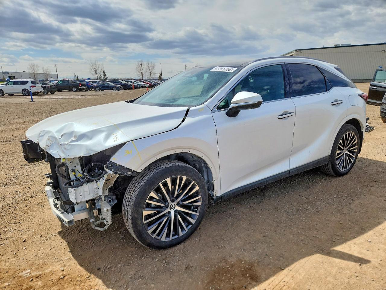 2024 LEXUS RX300