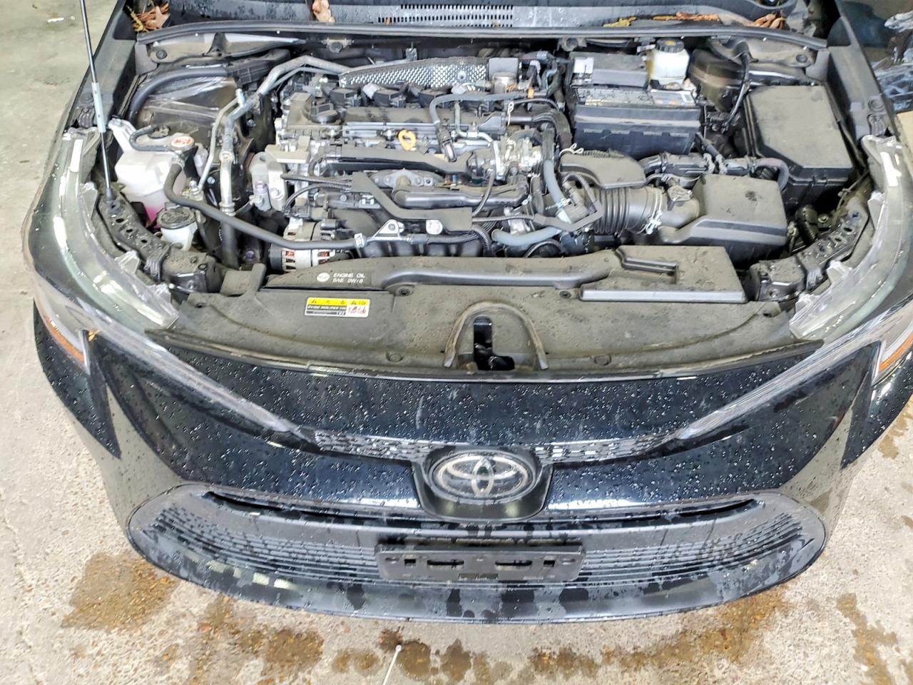 2023 TOYOTA COROLLA
