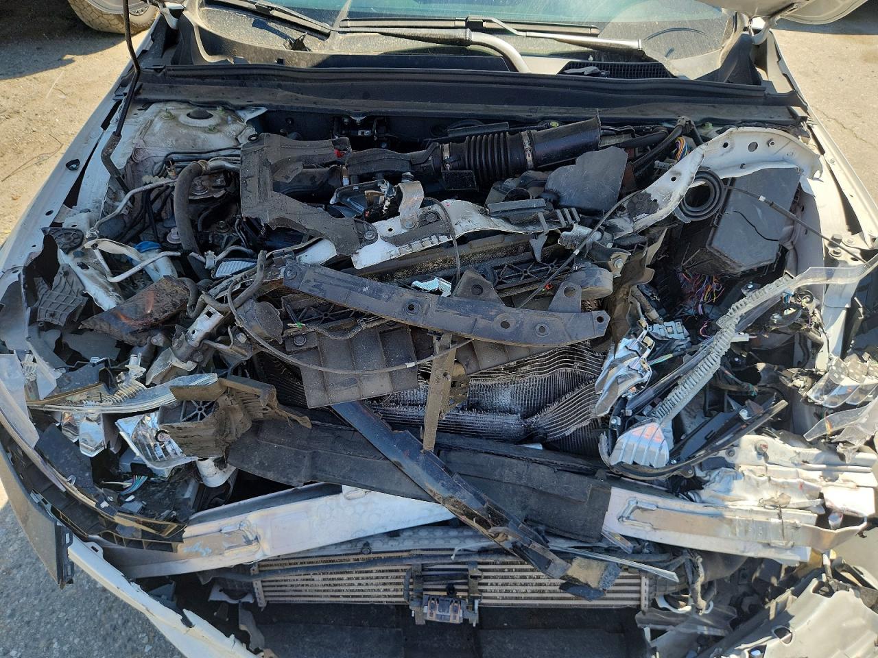 2019 HONDA ACCORD