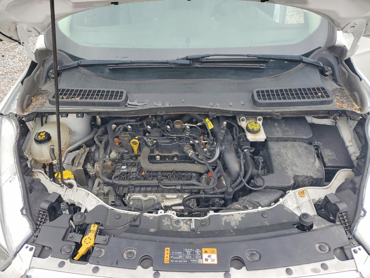 2019 FORD ESCAPE