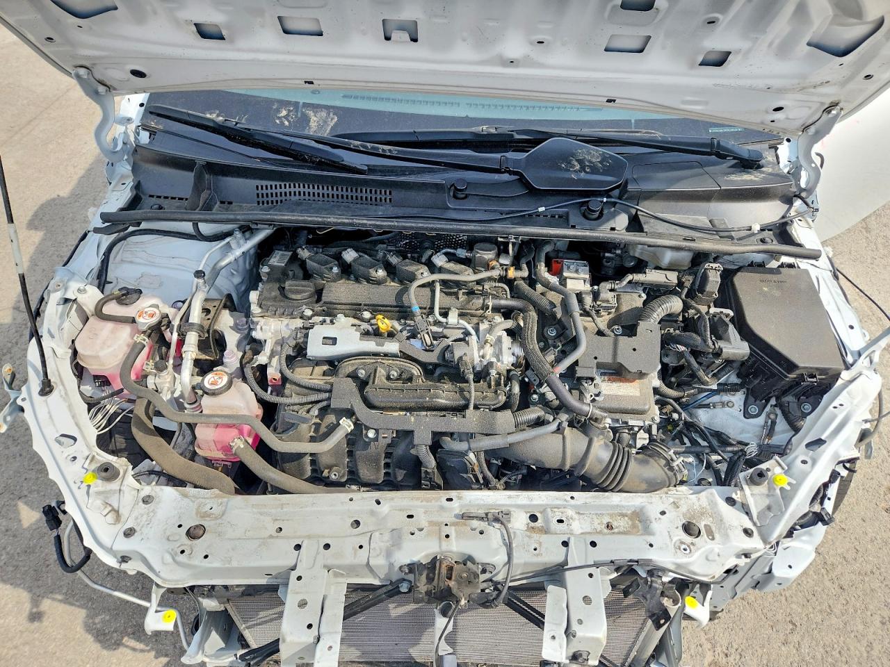 2023 TOYOTA PRIUS