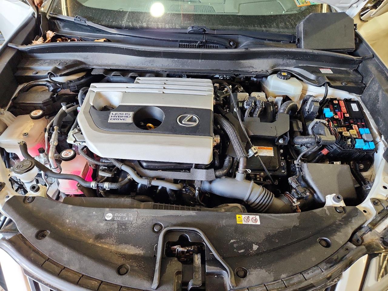 2019 LEXUS UX 250H