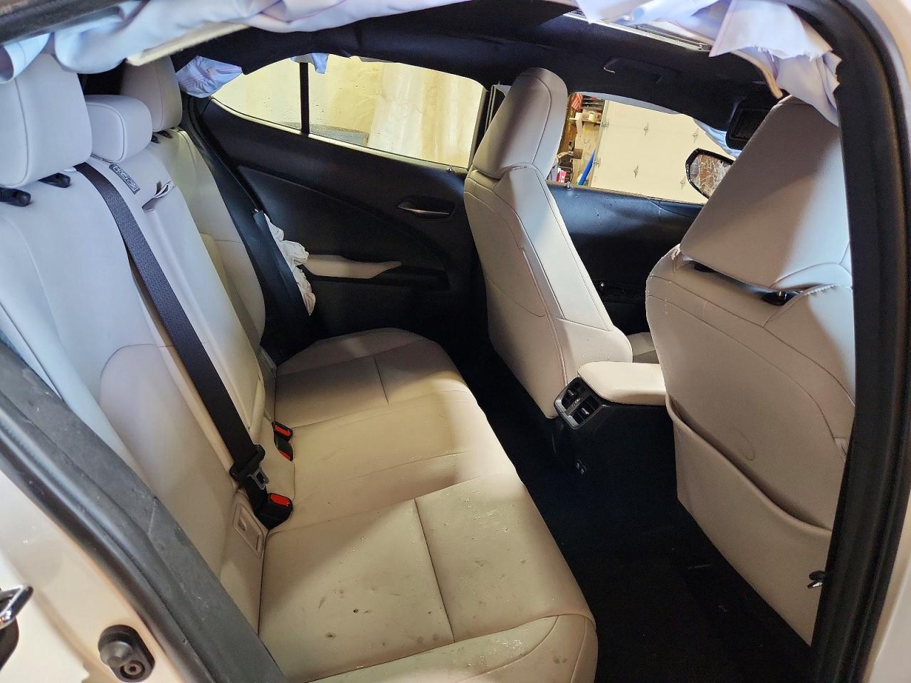2019 LEXUS UX 250H