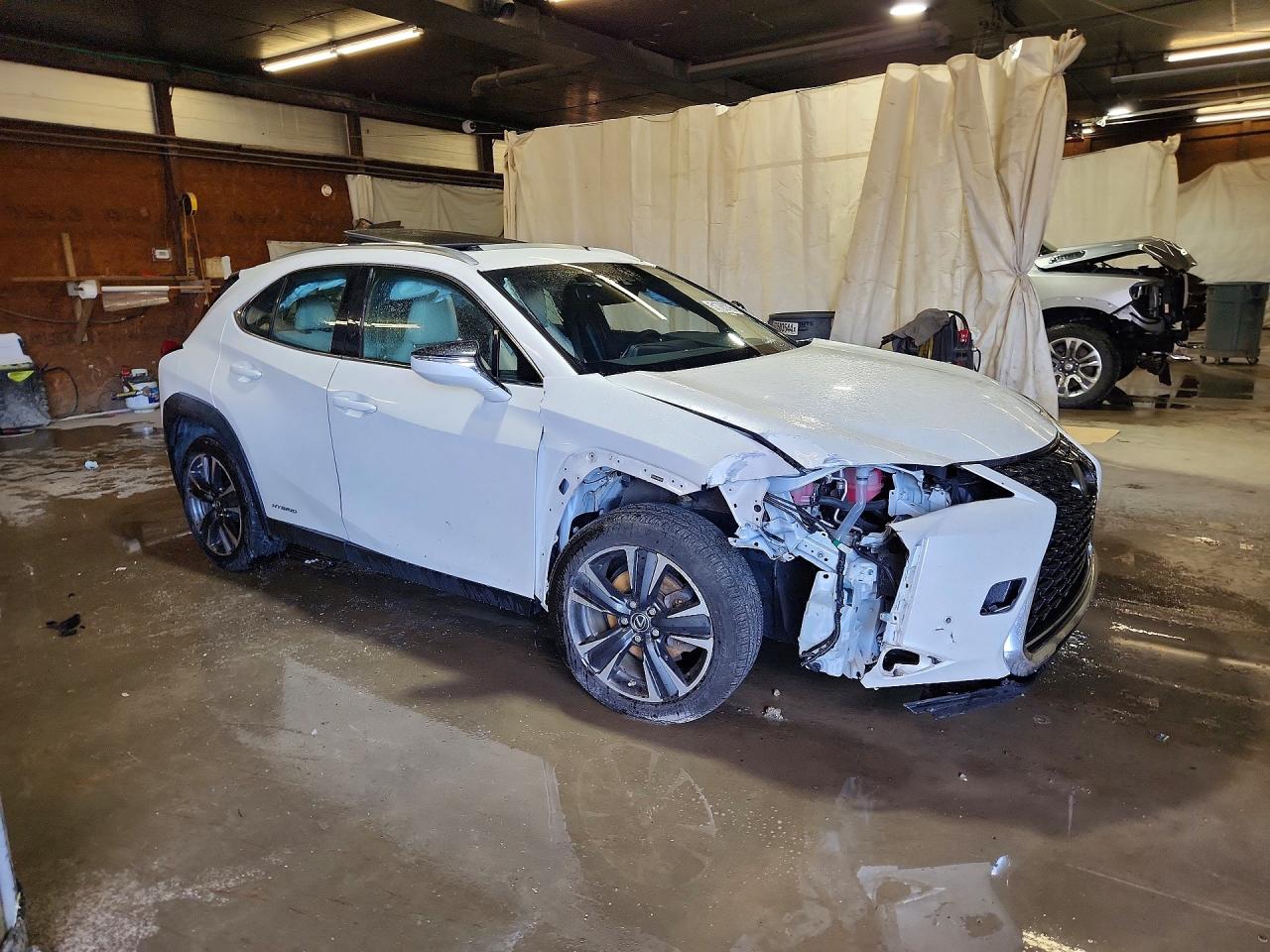 2019 LEXUS UX 250H