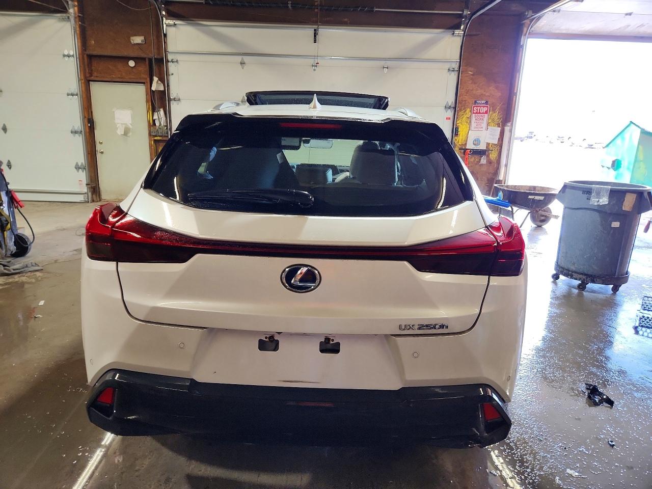 2019 LEXUS UX 250H