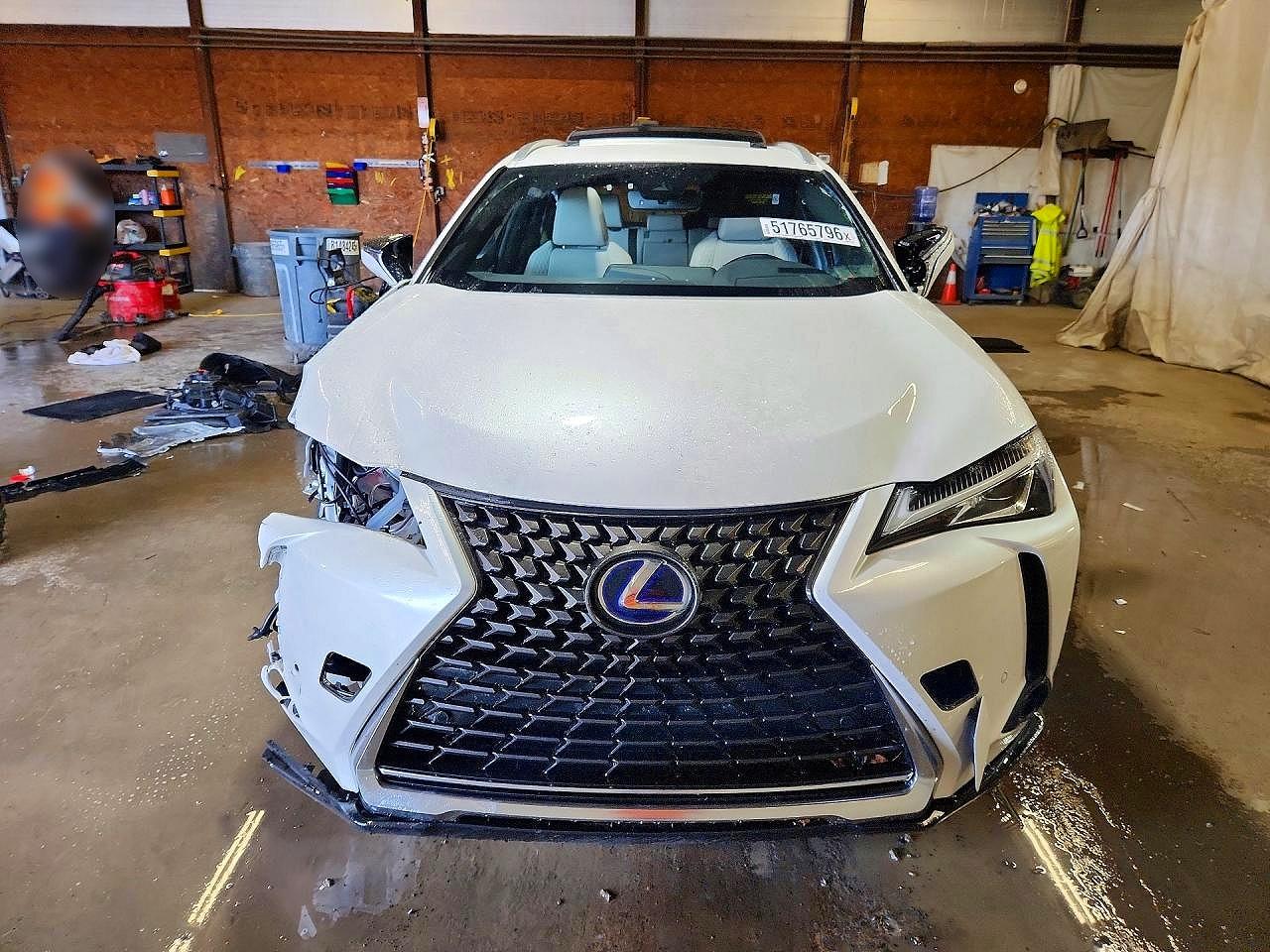 2019 LEXUS UX 250H
