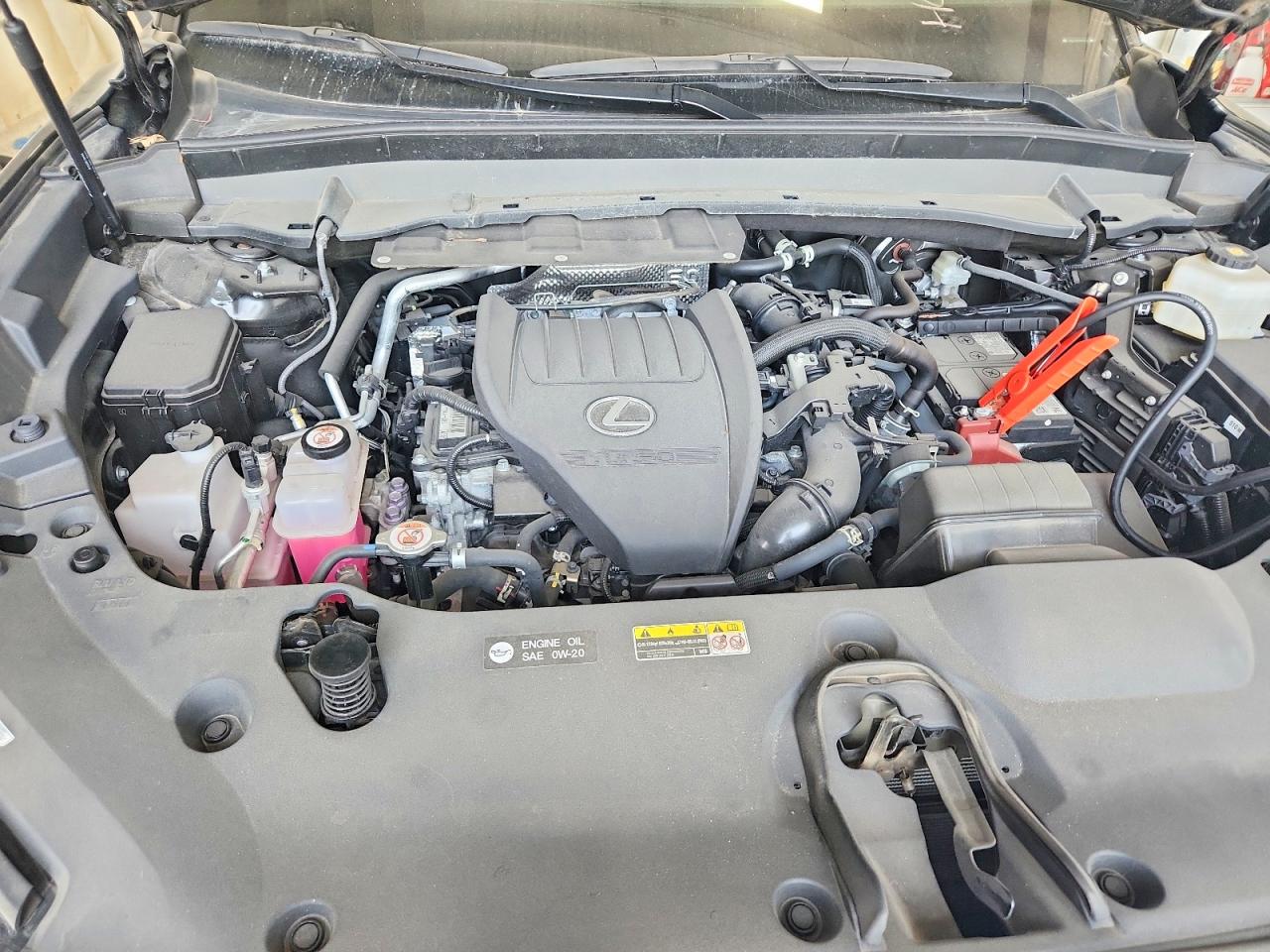 2024 LEXUS TX 350 UNK