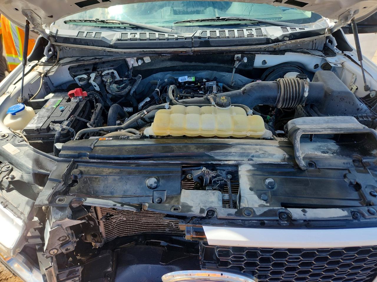 2020 FORD All Models