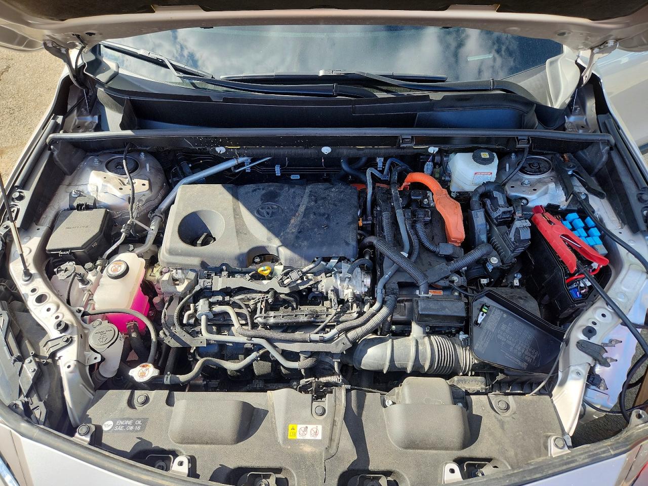 2024 TOYOTA VENZA