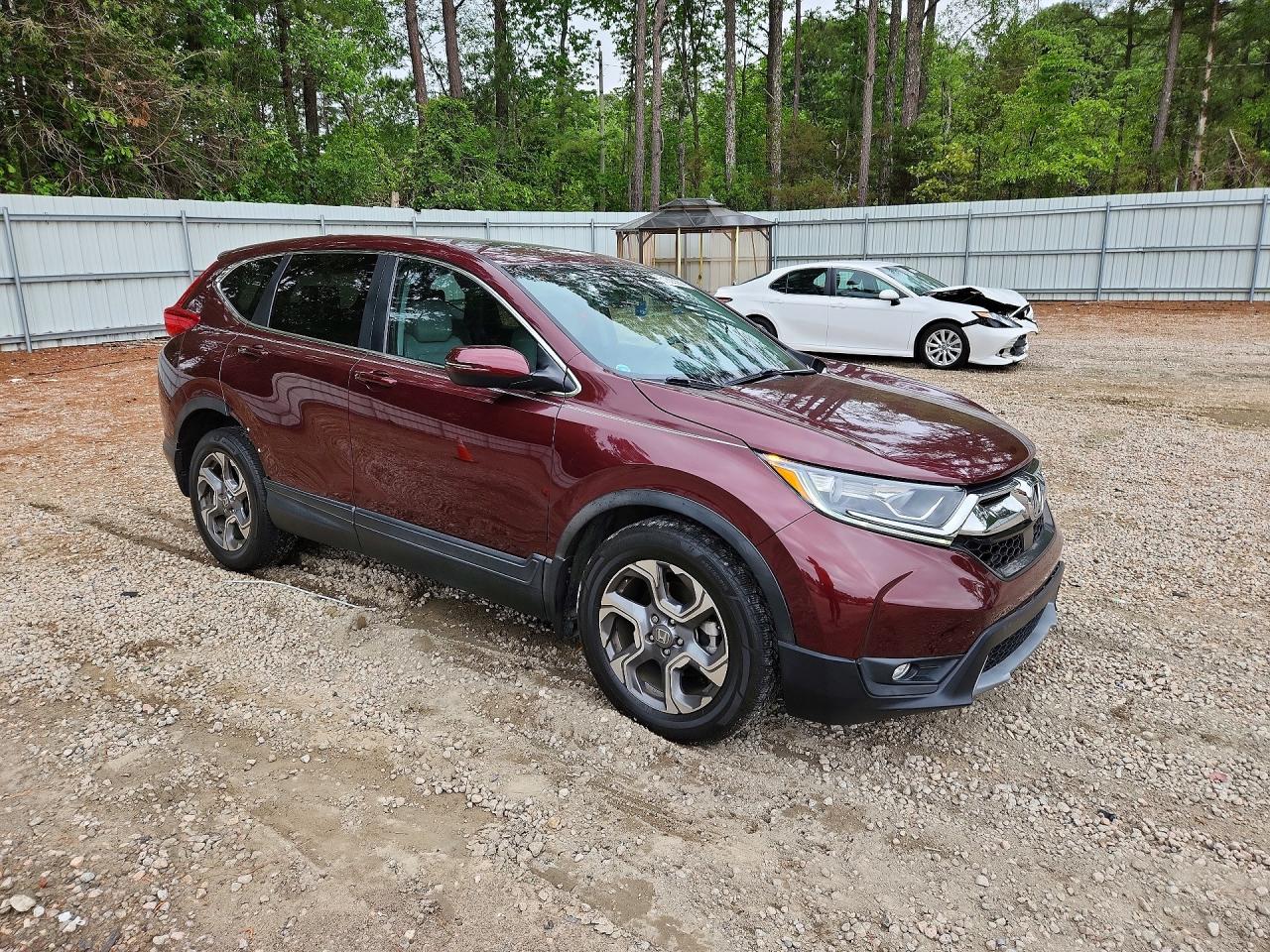 2019 HONDA CRV