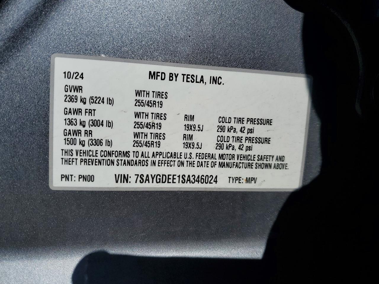 2025 TESLA MODEL Y