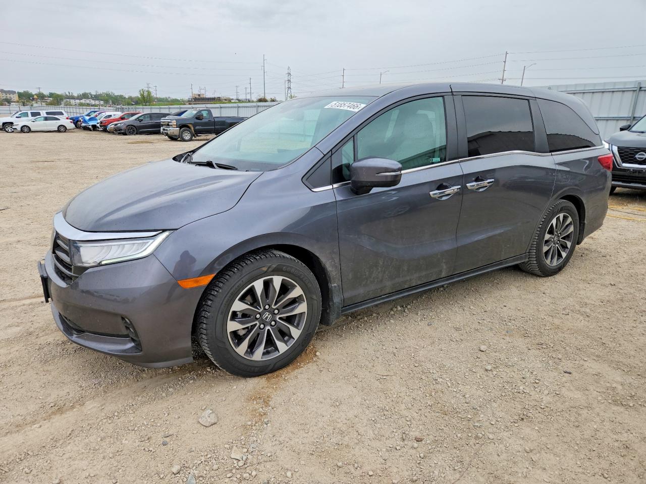 2023 HONDA ODYSSEY