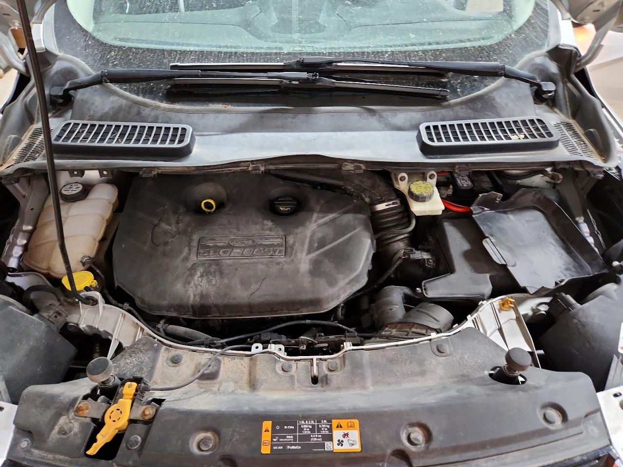 2013 FORD ESCAPE