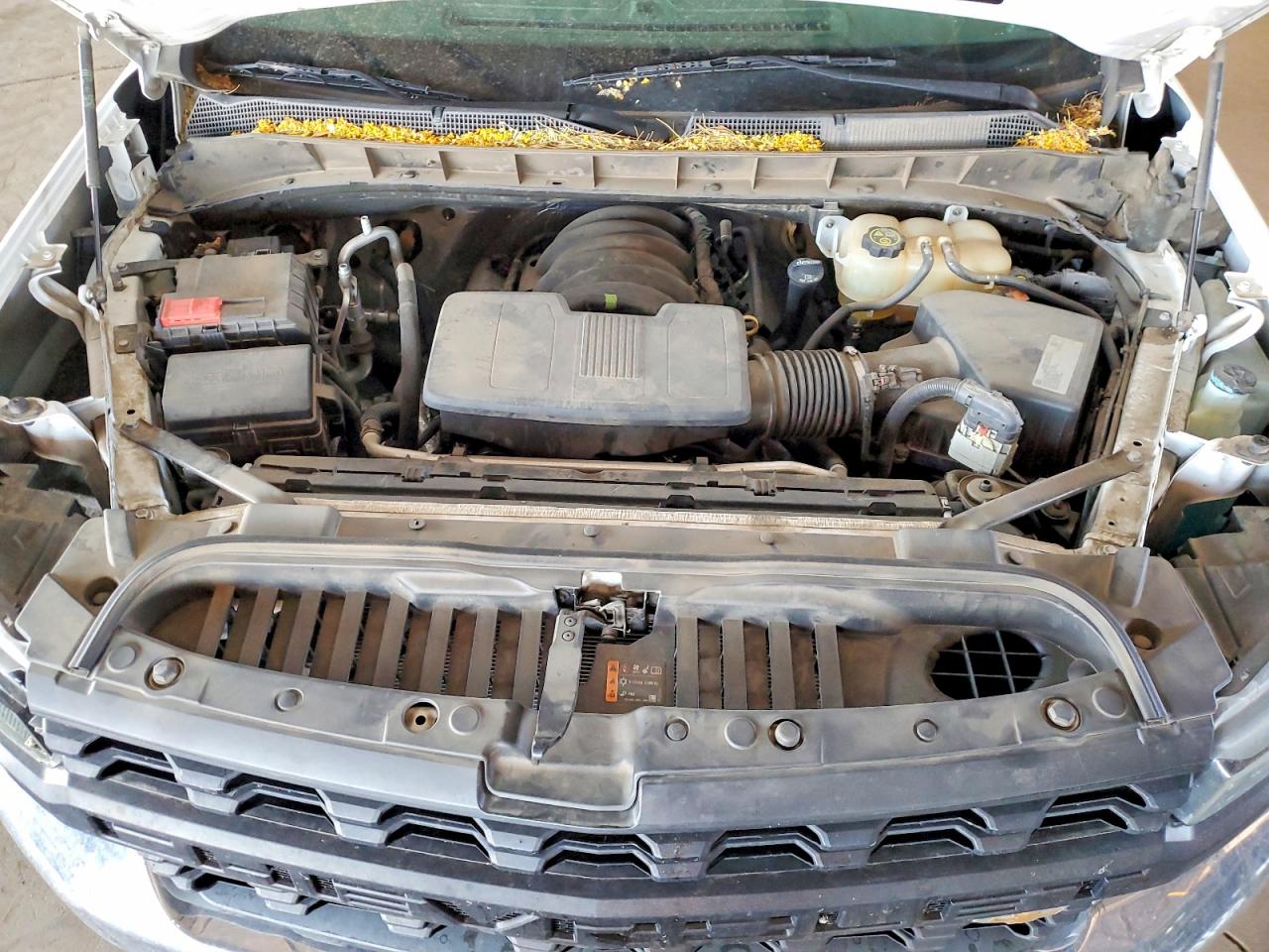 2019 CHEVROLET SILVERADO