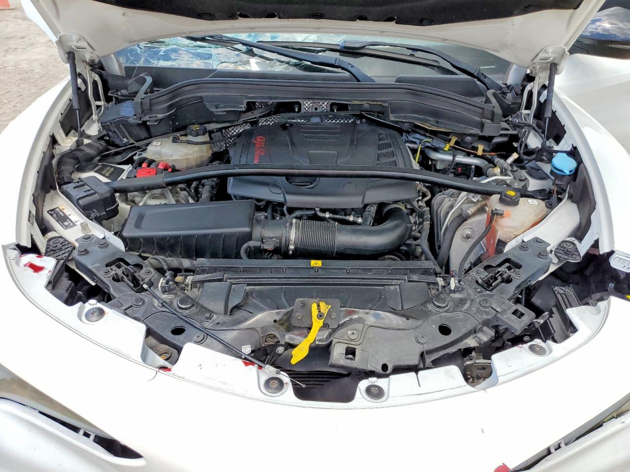 2019 ALFA ROMEO STELVIO