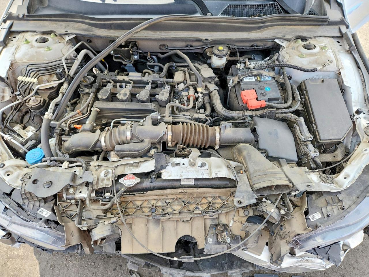 2021 HOND ACCORD