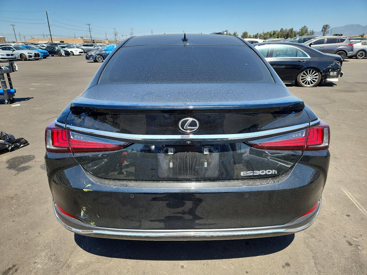 2025 LEXUS ES300