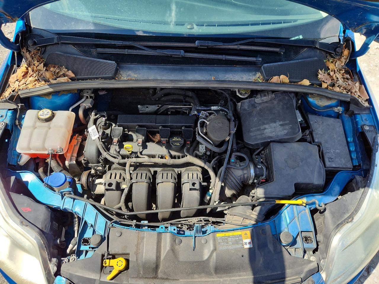2013 FORD FOCUS