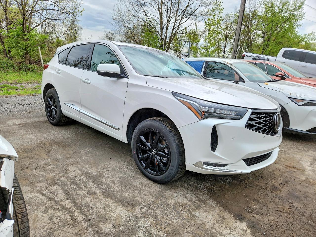 2025 ACURA RDX