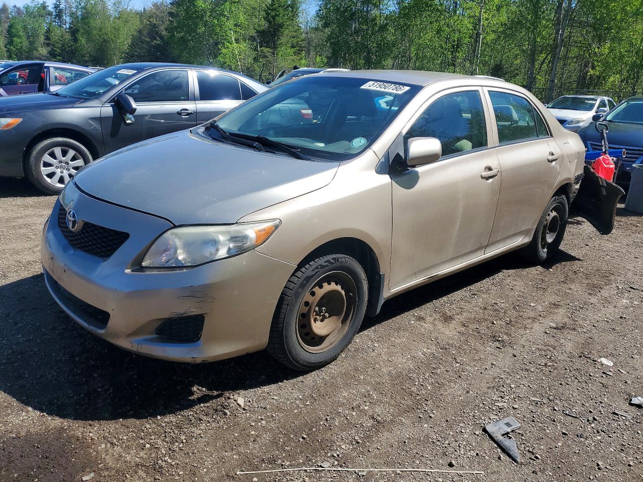2009 TOYOTA COROLLA