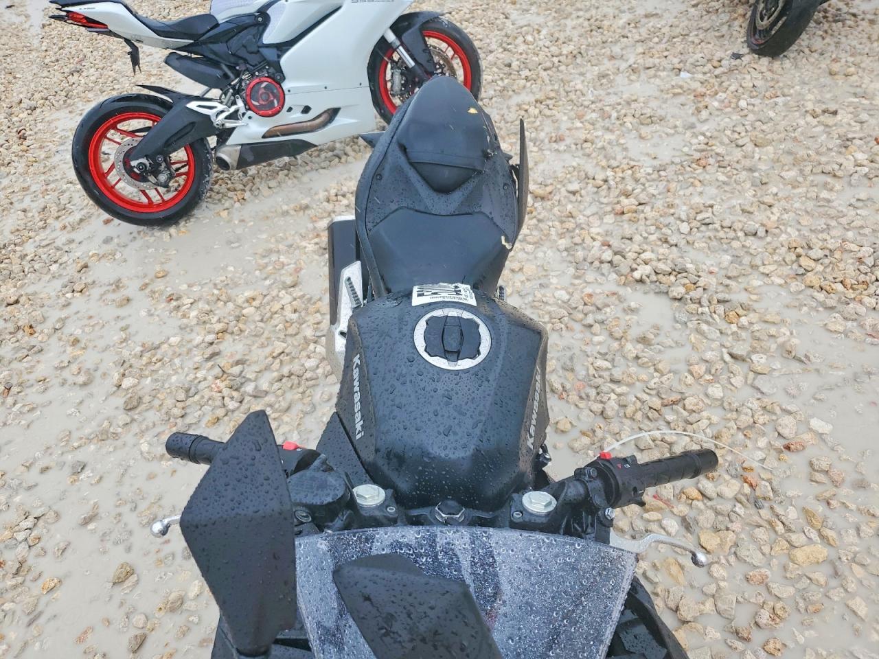 2026 KAWASAKI EX