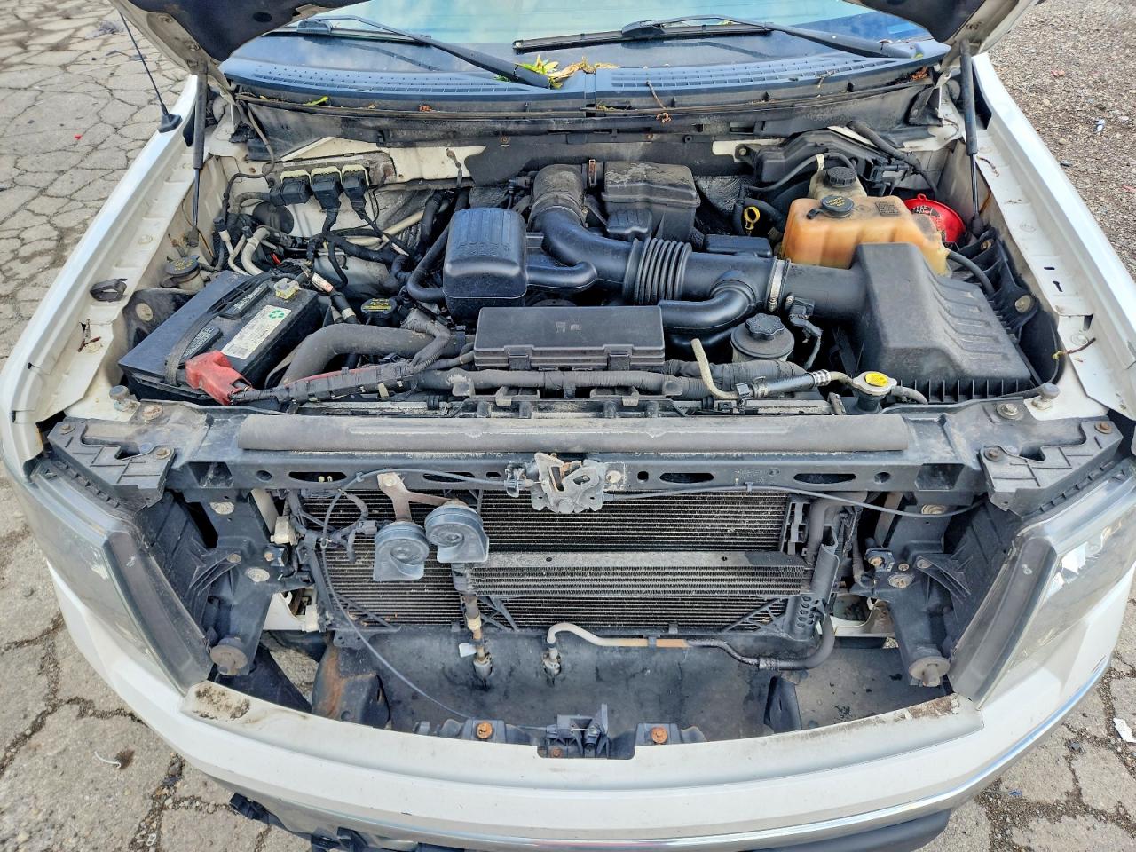 2010 FORD F150