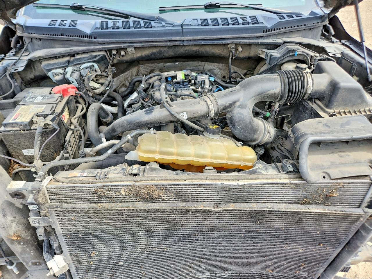 2019 FORD F150
