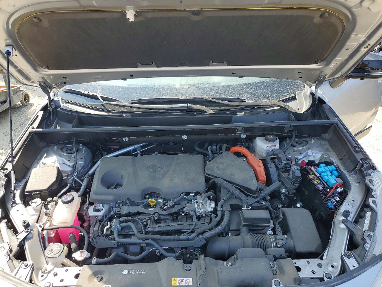 2024 TOYOTA RAV4